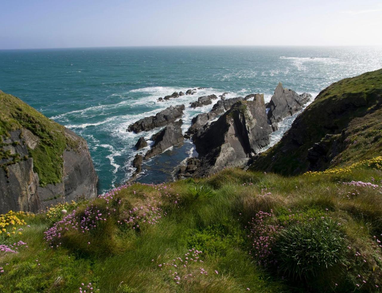 Galley Head Lightkeeper'S Houses Donoure Extérieur photo